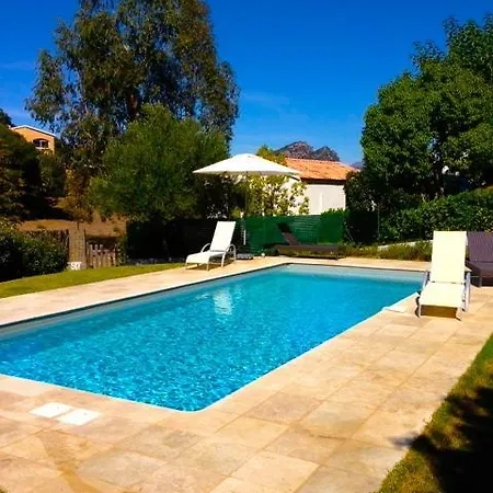 Oliera Saint-Florent (Corsica)