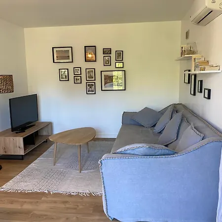 Oliera Saint-Florent (Corsica)