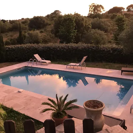 Oliera * Saint-Florent (Corsica)