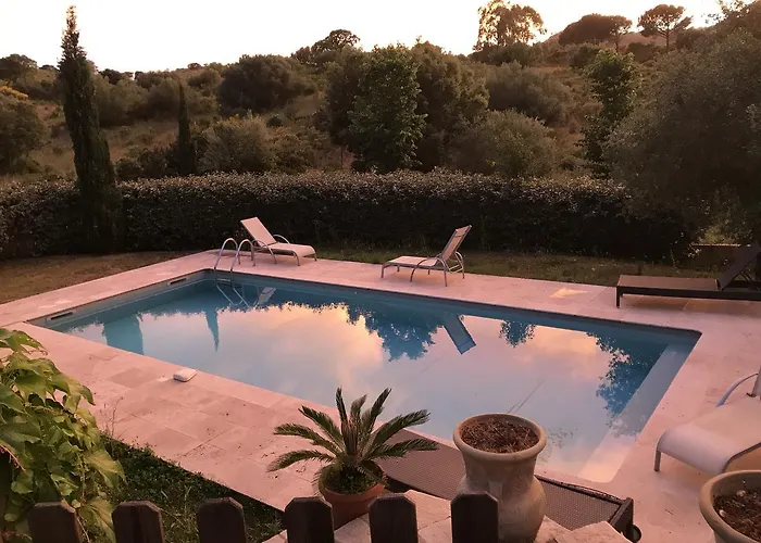 Oliera * Saint-Florent (Corsica)